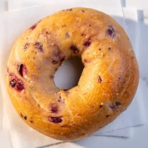 Blueberry Bagel